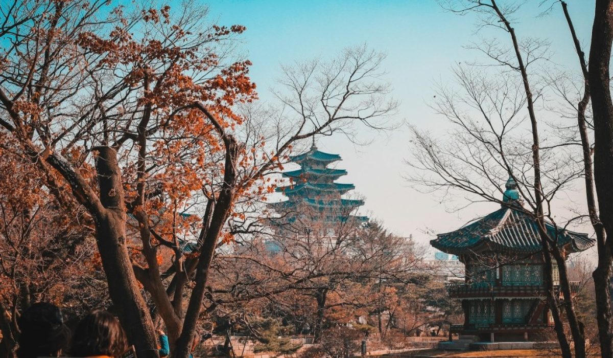 photo-1583833008338-31a6657917ab